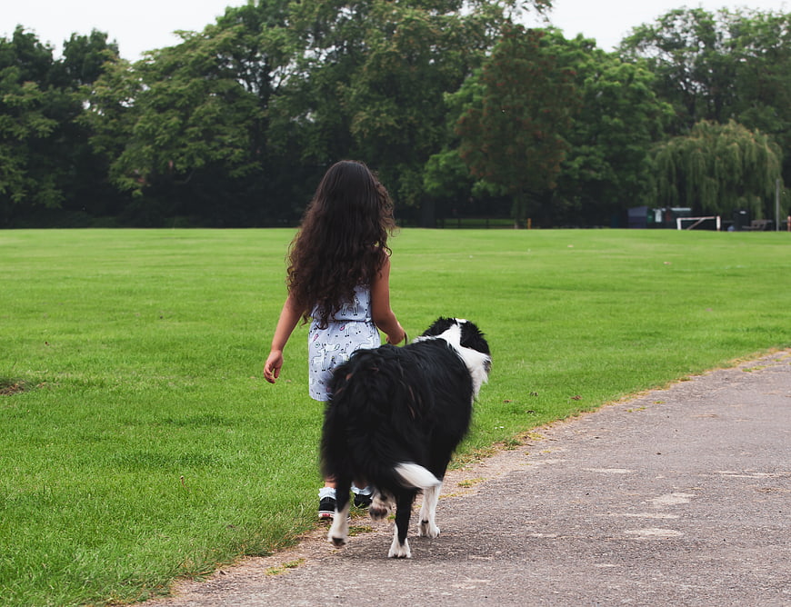 Little Girl Walking Border Collie in Green Park