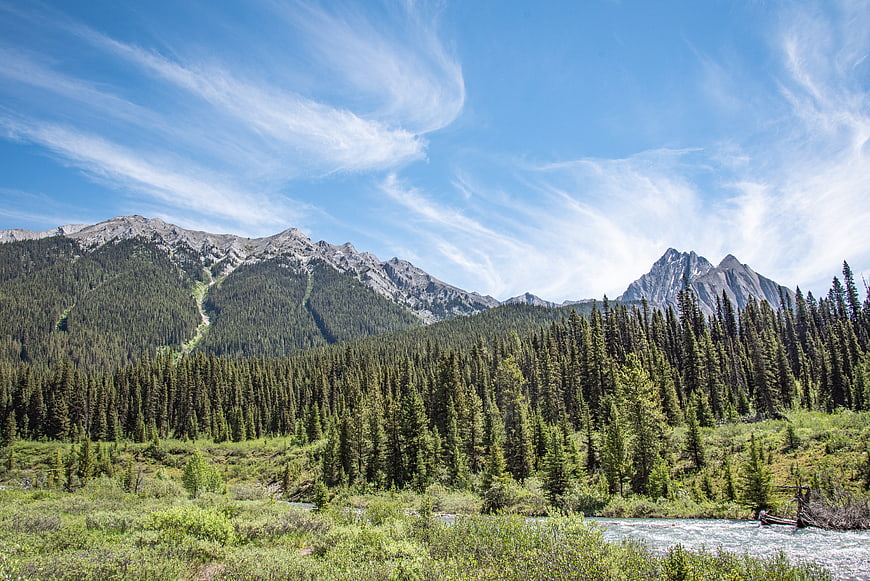 Scenic mountain landscape with river and pine forest