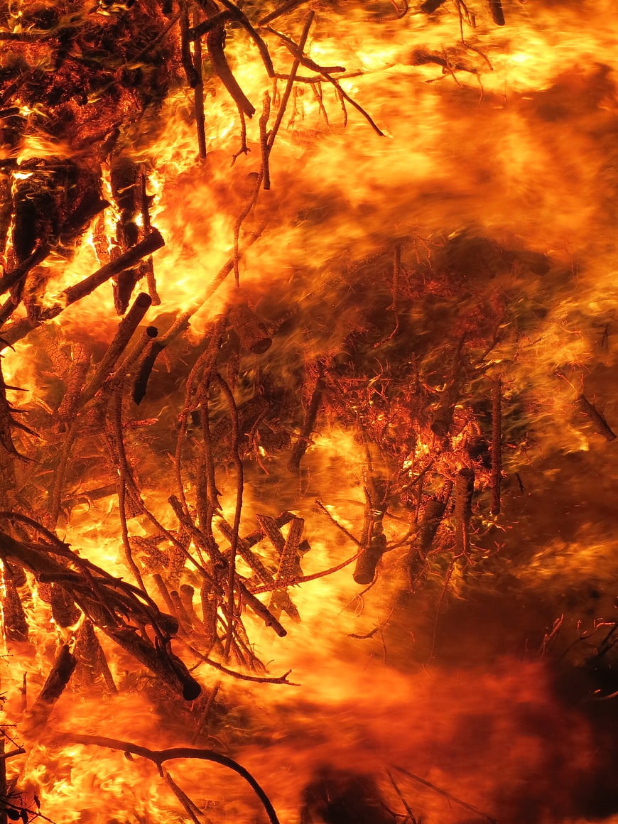 Intense Forest Fire Burning Dry Branches and Twigs