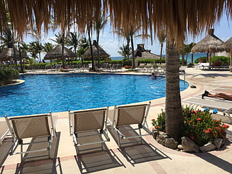 Tropical resort pool with lounge chairs, palms, and ocean view