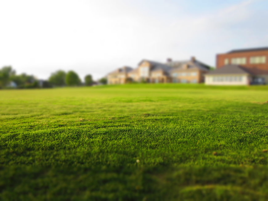 Low angle view of green lawn with blurred suburban houses