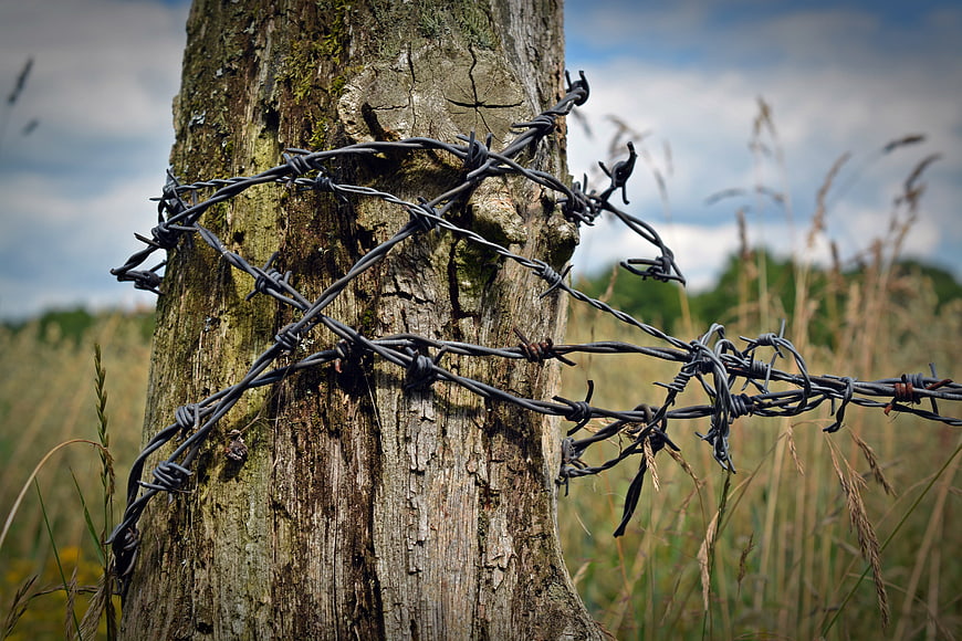 Rusty barbed wire wrapped around a weathered wooden fence post in a field