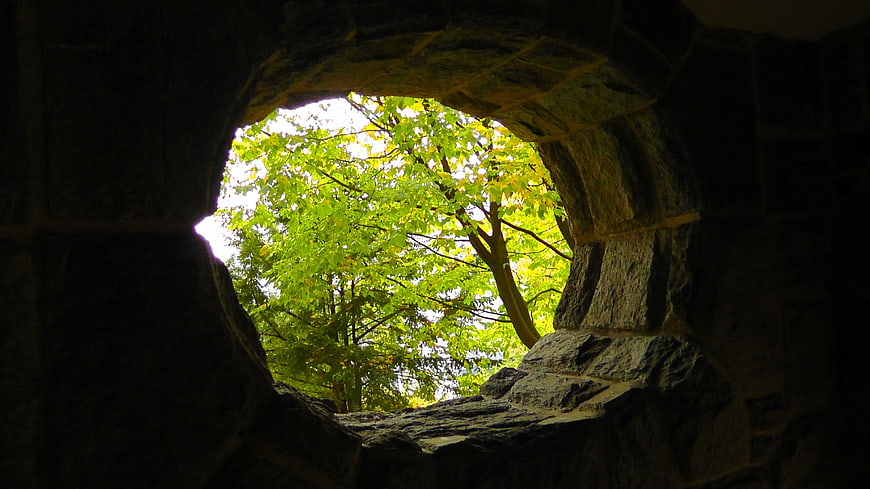 Stone Archway Framing Green Tree Foliage