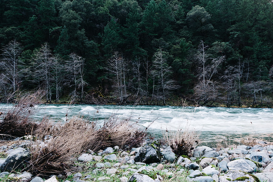 Rushing river rapids flowing through a rocky forest landscape