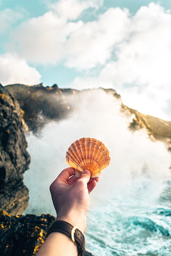 Hand holding seashell against crashing ocean waves and cliffs