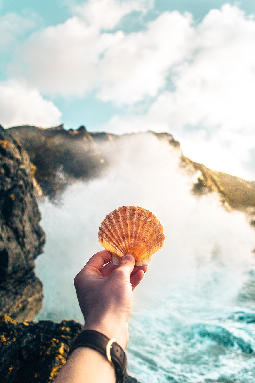 Hand holding seashell against crashing ocean waves and cliffs