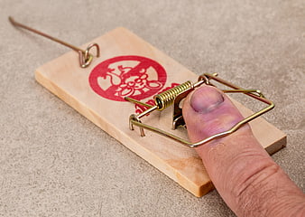 Swollen Finger Caught in Wooden Mousetrap
