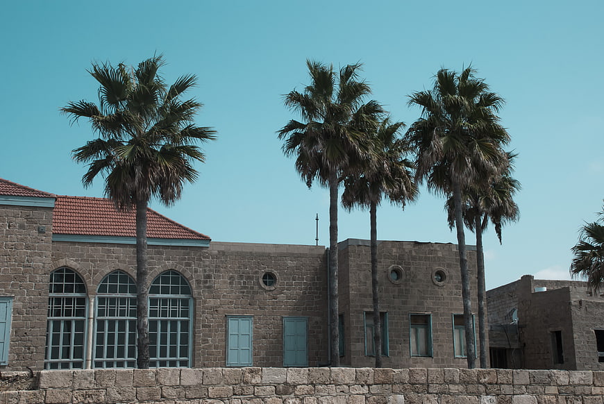 Stone building with arched windows and palm trees against blue sky