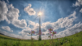 Wind Turbine in Green Field with Sunburst and Purple Flowers