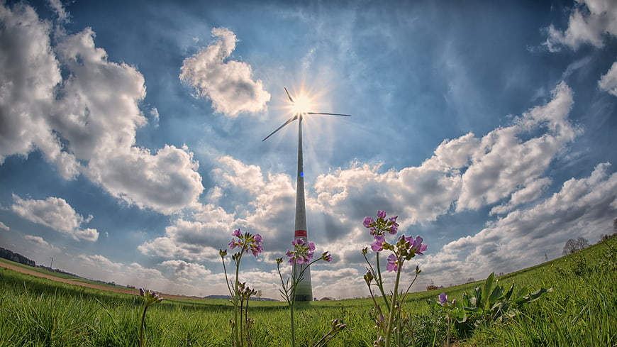 Wind Turbine in Green Field with Sunburst and Purple Flowers
