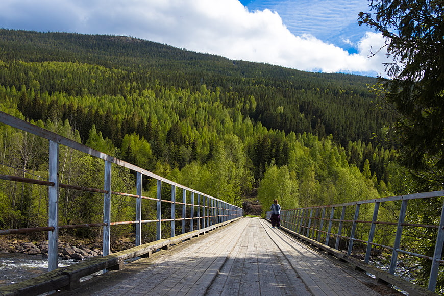 Person walking on wooden bridge in lush green forest