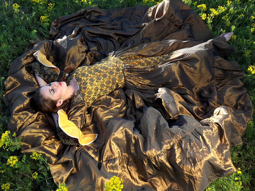 Woman in Golden Dress Lying in Field of Yellow Flowers