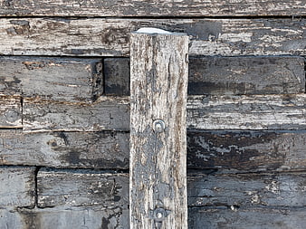 Weathered Wood Texture with Peeling Paint and Rusty Bolts