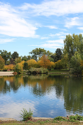 Serene Autumn Lake with Colorful Trees and Blue Sky