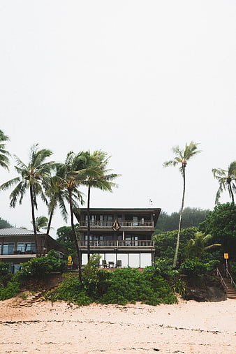 Tropical Beach House with Palm Trees and Sandy Shore