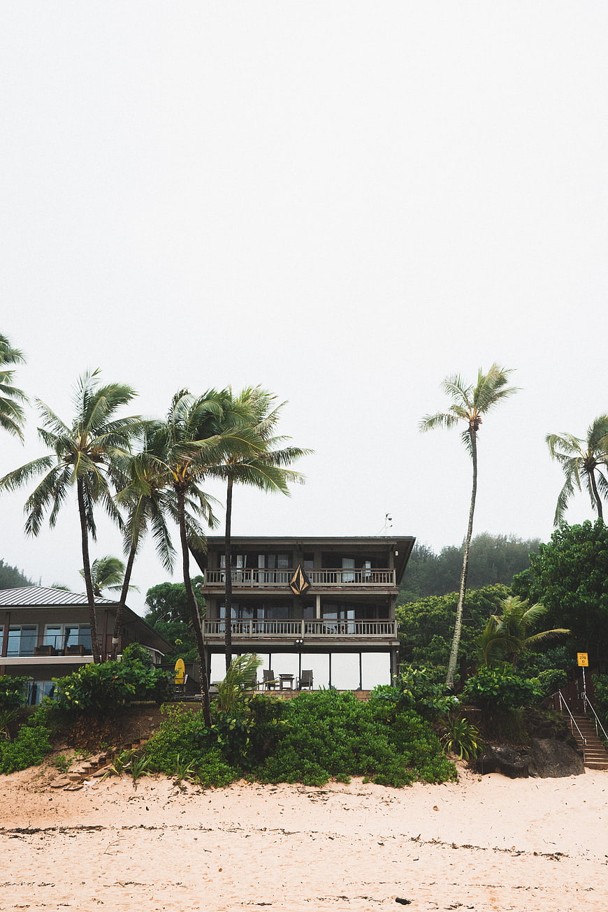 Tropical Beach House with Palm Trees and Sandy Shore