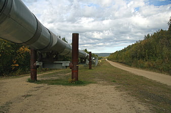 Alaska Pipeline System stretching through autumn forest landscape