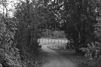 Black and white photo of a winding country road through trees