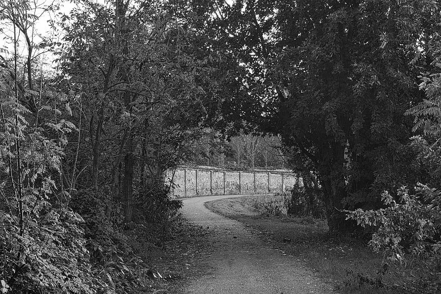 Black and white photo of a winding country road through trees