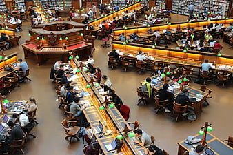 High Angle View of Students Studying in Grand Library