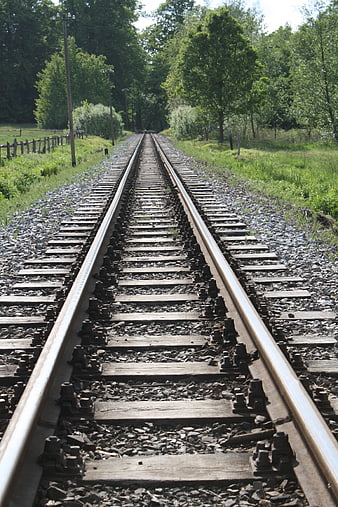 Railroad Tracks Leading Through Green Forest