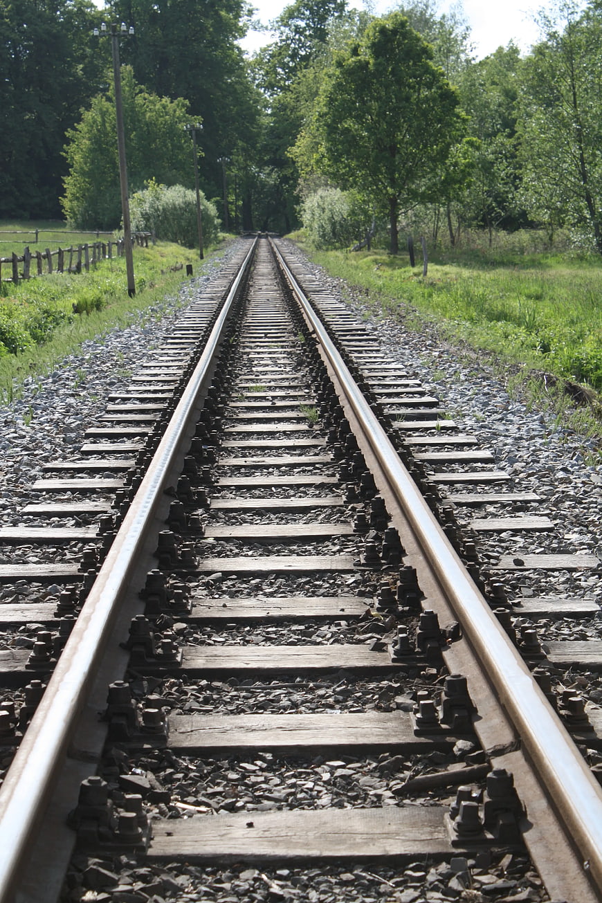 Railroad Tracks Leading Through Green Forest