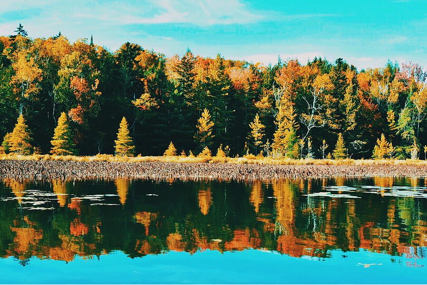 Vibrant Autumn Forest Reflection in Calm Lake Water