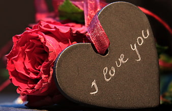 Red Rose and Heart-Shaped Chalkboard with Love Message