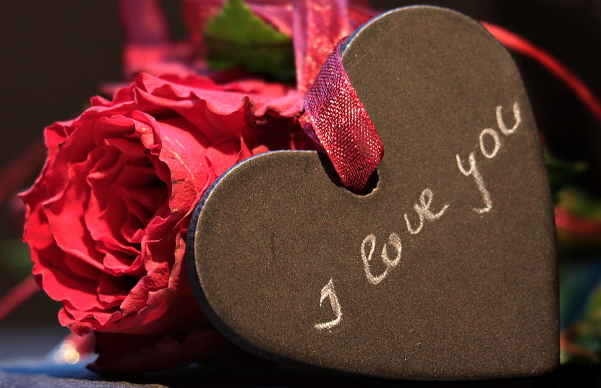 Red Rose and Heart-Shaped Chalkboard with Love Message