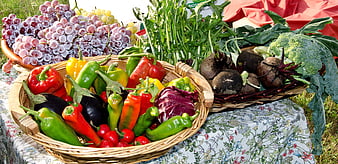 Fresh organic vegetables and fruits in wicker baskets at outdoor market