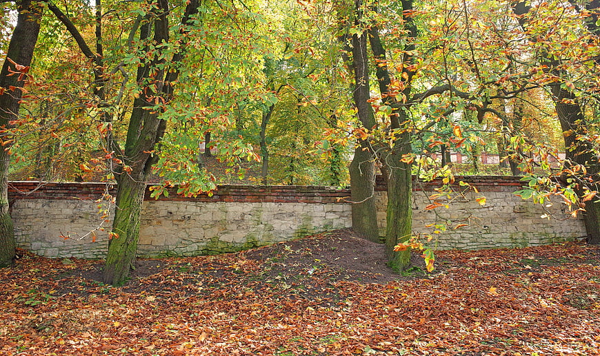 Autumn park scene with fallen leaves and old brick wall