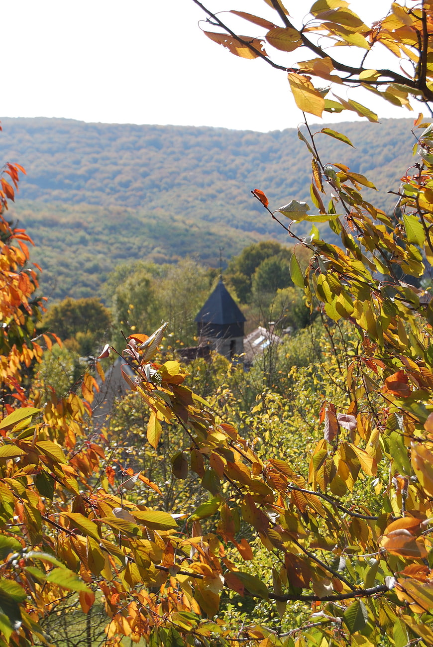 Autumn landscape with bell tower through colorful foliage