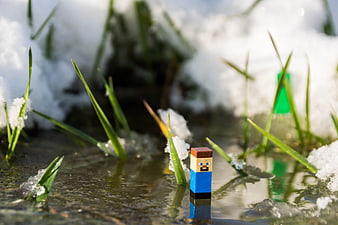 Minecraft Steve Figure Standing in Icy Water with Green Grass