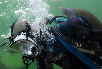 Scuba diver swimming with sea lion underwater