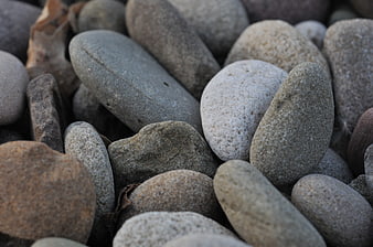 Close-up of smooth gray river stones and pebbles