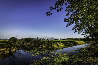 Serene Canal Landscape with Lush Greenery and Blue Sky
