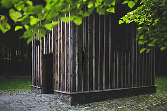Rustic wooden cabin with green leaves in foreground