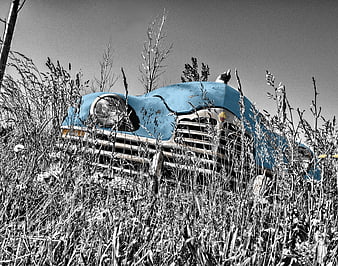 Vintage Blue Car Abandoned in Overgrown Field