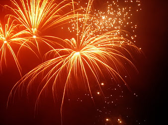 Golden Fireworks Exploding in Night Sky