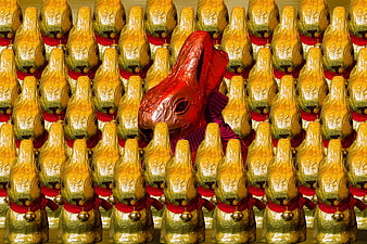 Red Foil Easter Bunny Among Rows of Gold Chocolate Bunnies