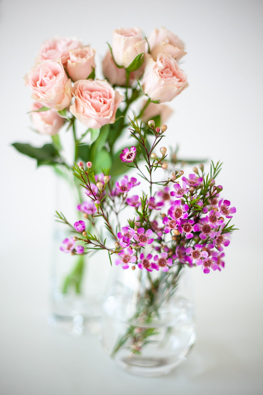 Pink Roses and Purple Flowers in Glass Vases