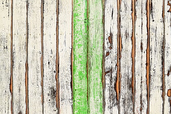 Vintage White and Green Wooden Plank Texture Background