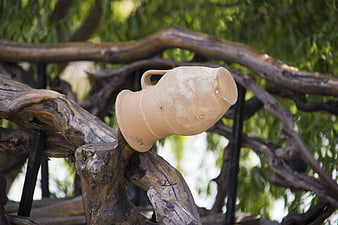Rustic clay jug resting on twisted wooden branches outdoors