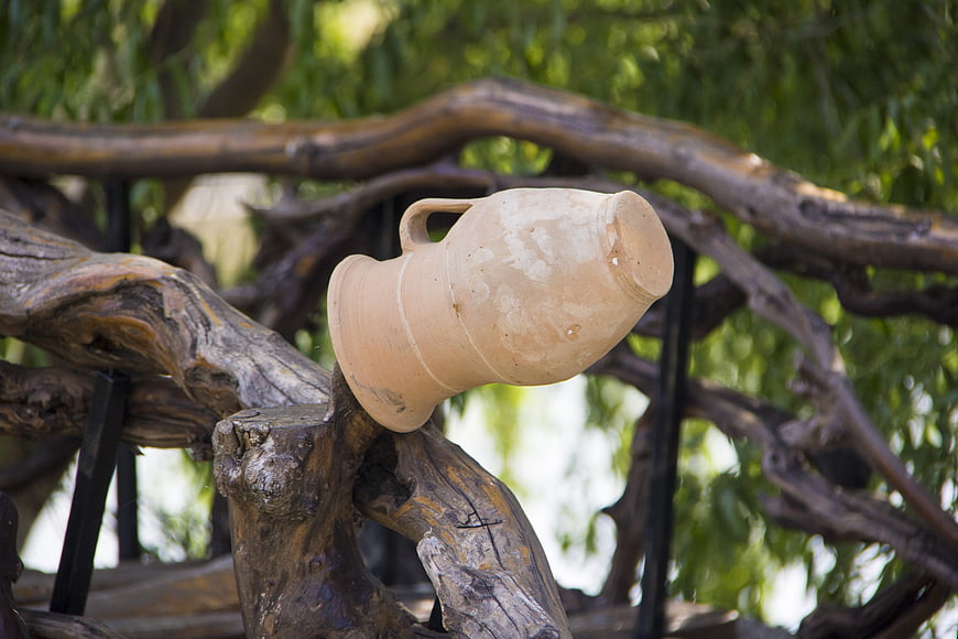 Rustic clay jug resting on twisted wooden branches outdoors