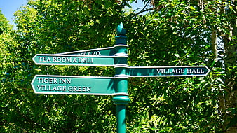 Green Directional Signpost in Lush Garden