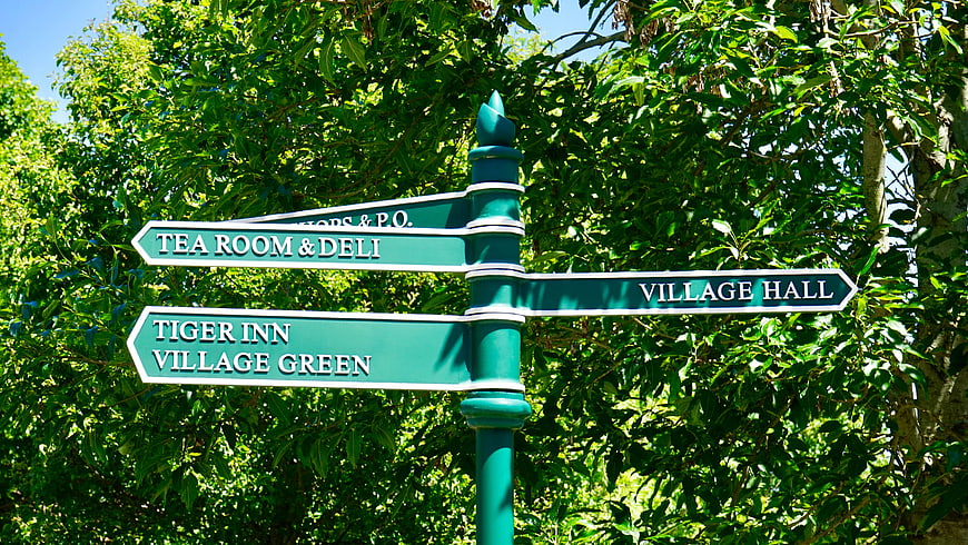 Green Directional Signpost in Lush Garden