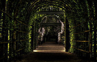 Shaded Garden Tunnel with Arched Pergola and Greenery