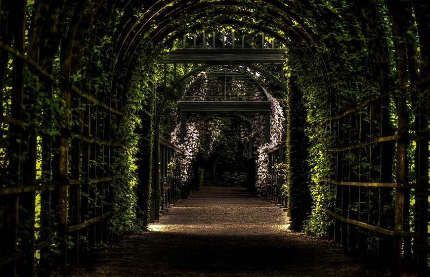 Shaded Garden Tunnel with Arched Pergola and Greenery