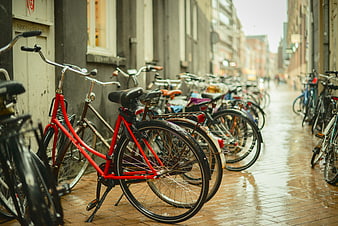 Red Bicycle Parked on Wet Cobblestone Street in European City