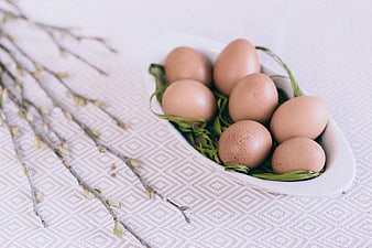 Brown Eggs in White Bowl with Willow Branches